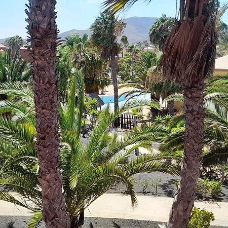 Apartment Cumbre Vieja Fuerteventura Corralejo Eksteriør bilde