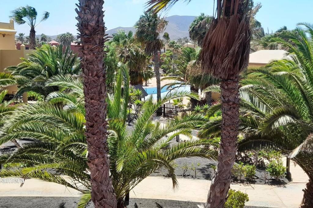 Apartment Cumbre Vieja Fuerteventura Corralejo Eksteriør bilde