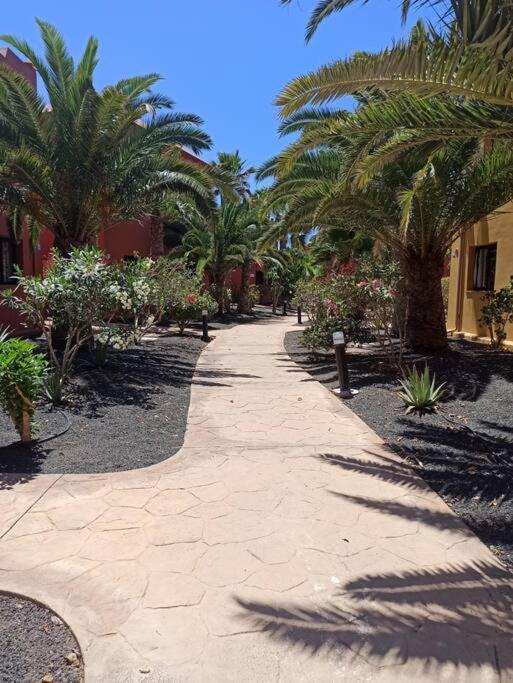Apartment Cumbre Vieja Fuerteventura Corralejo Eksteriør bilde