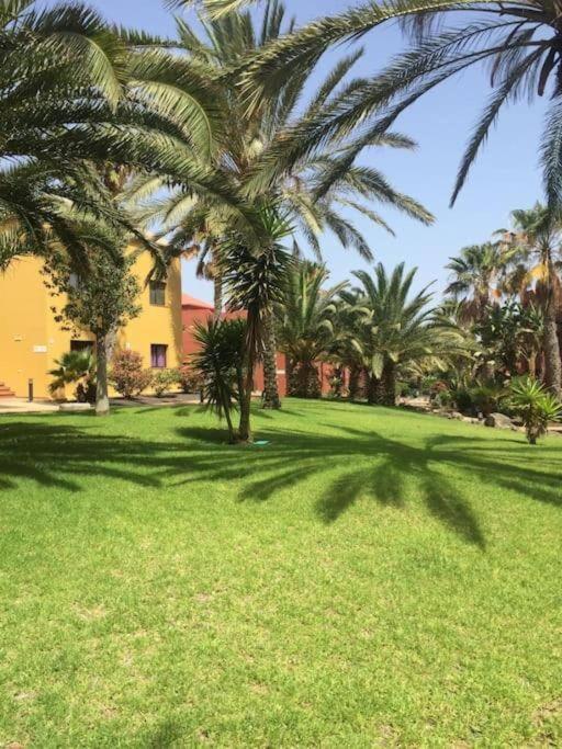 Apartment Cumbre Vieja Fuerteventura Corralejo Eksteriør bilde