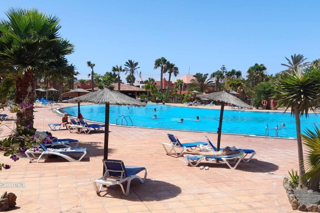 Apartment Cumbre Vieja Fuerteventura Corralejo Eksteriør bilde