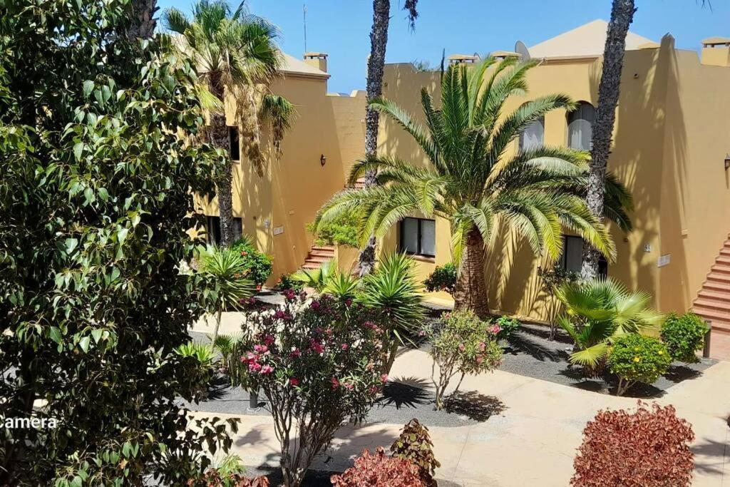 Apartment Cumbre Vieja Fuerteventura Corralejo Eksteriør bilde