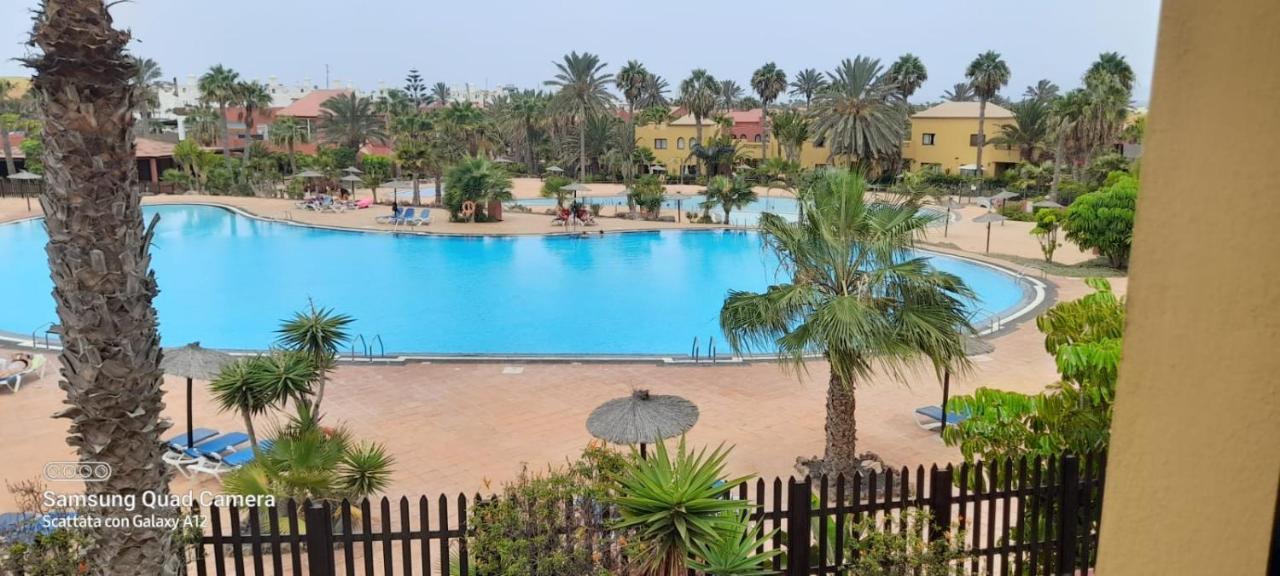 Apartment Cumbre Vieja Fuerteventura Corralejo Eksteriør bilde